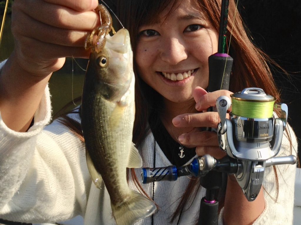 【なんでもいいから釣りたい】万能釣竿の選び方 | 愛 love fish!!